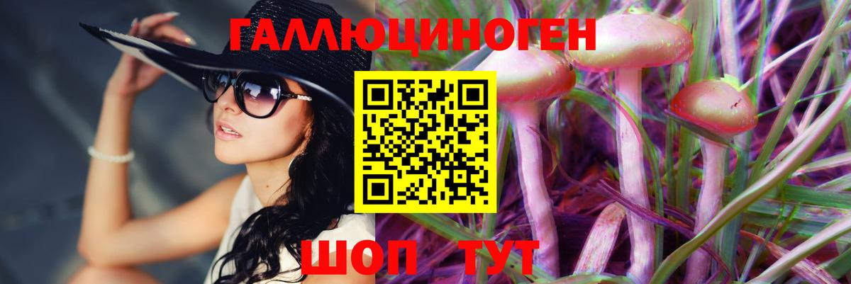 Галлюциногенные грибы MAGIC MUSHROOMS Тулун